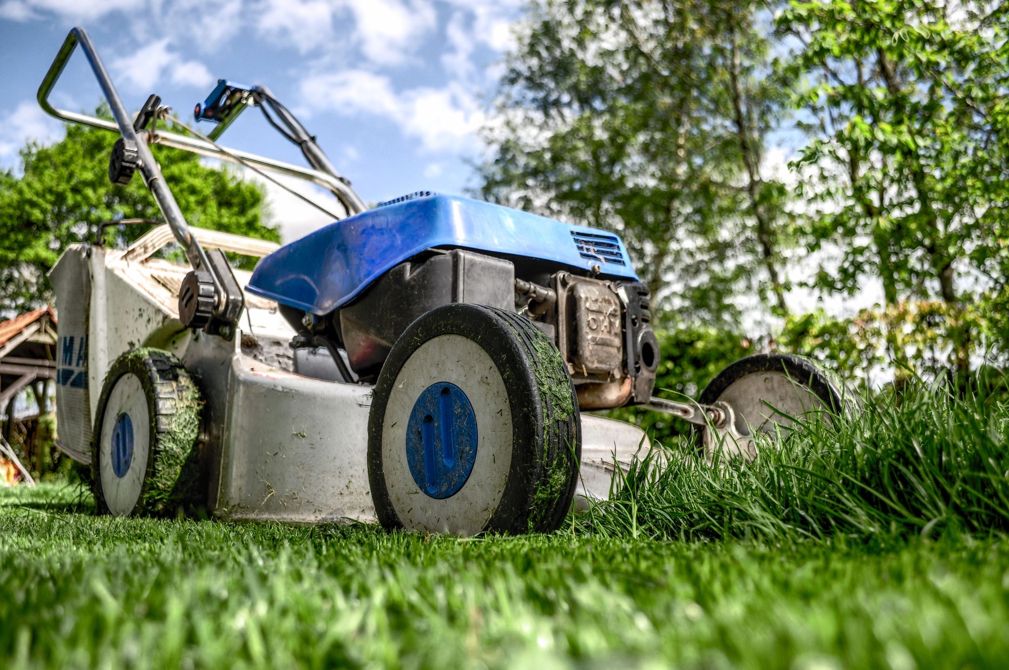 Top Notch mower in a freshly cut yard