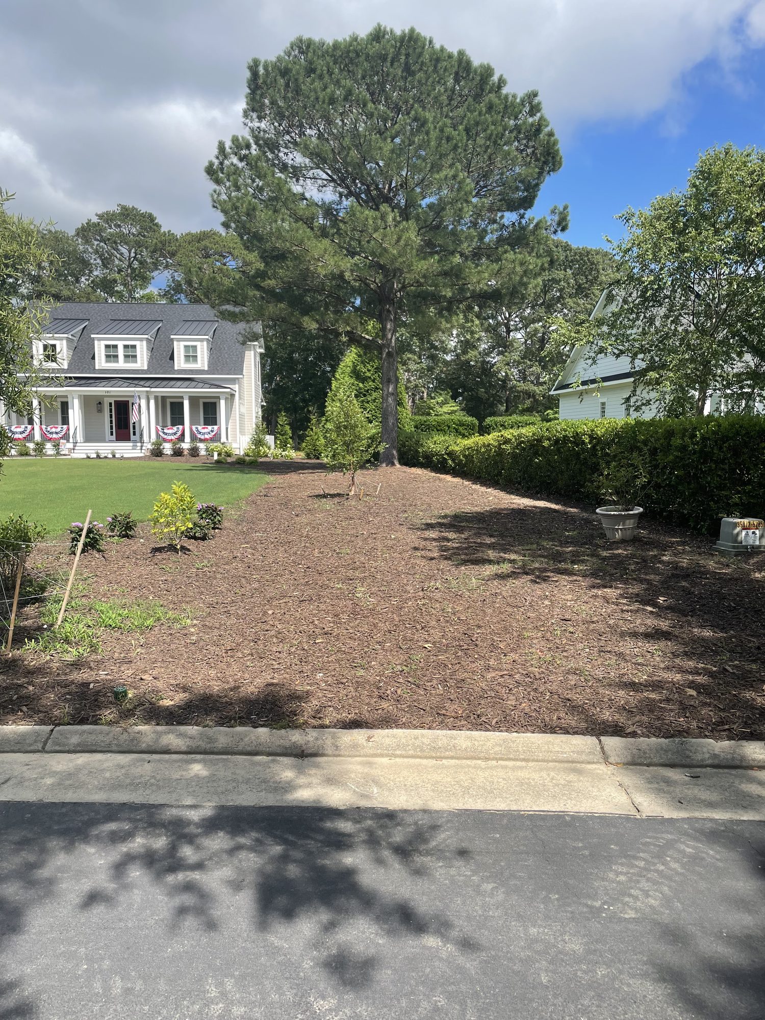 Roadside beds mulched and planted